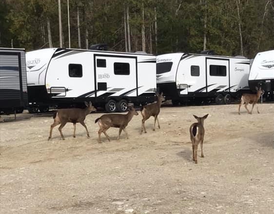 Norrish Creek Storage - RV Service Facility in Lower Mainland, British Columbia